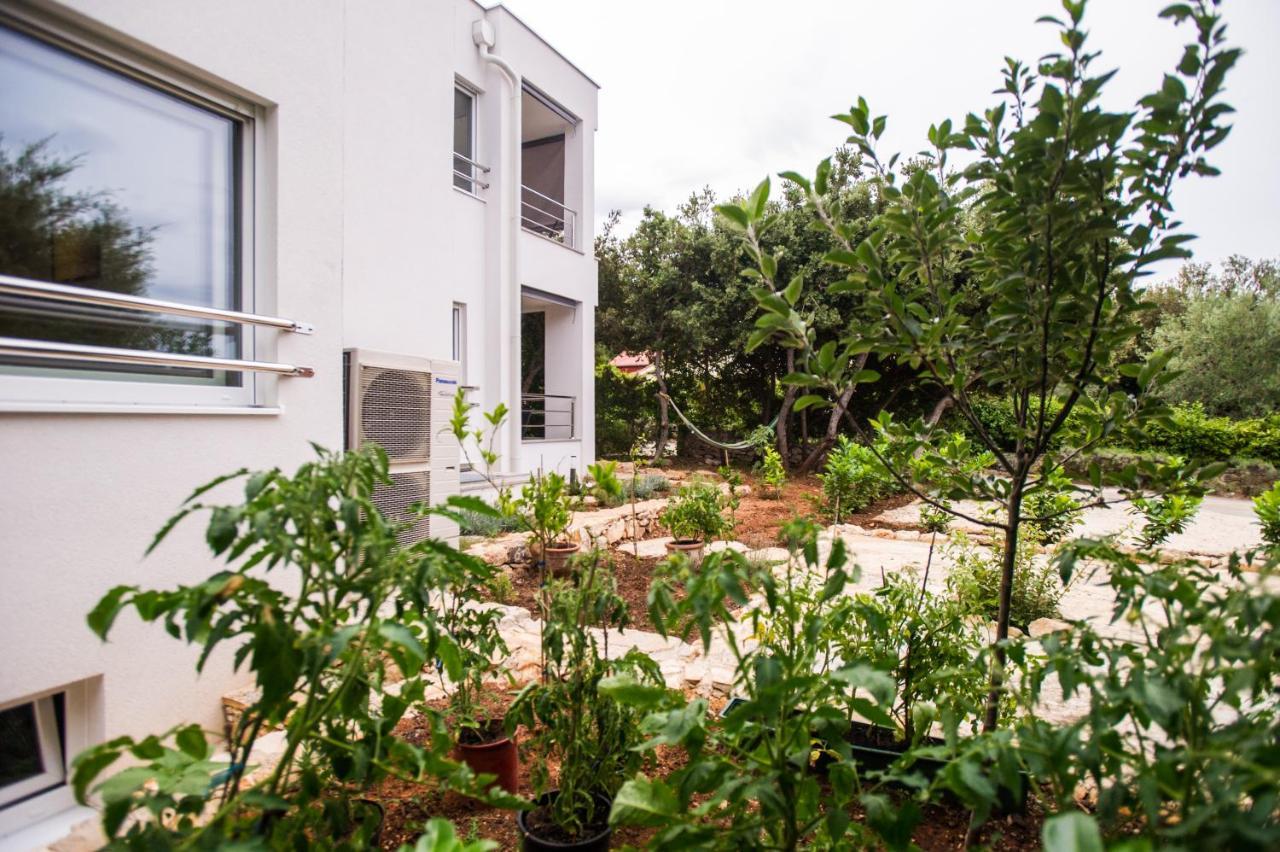 Apartments Jedro Петрчане Экстерьер фото